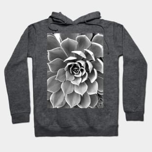 Monochrome Succulent Hoodie